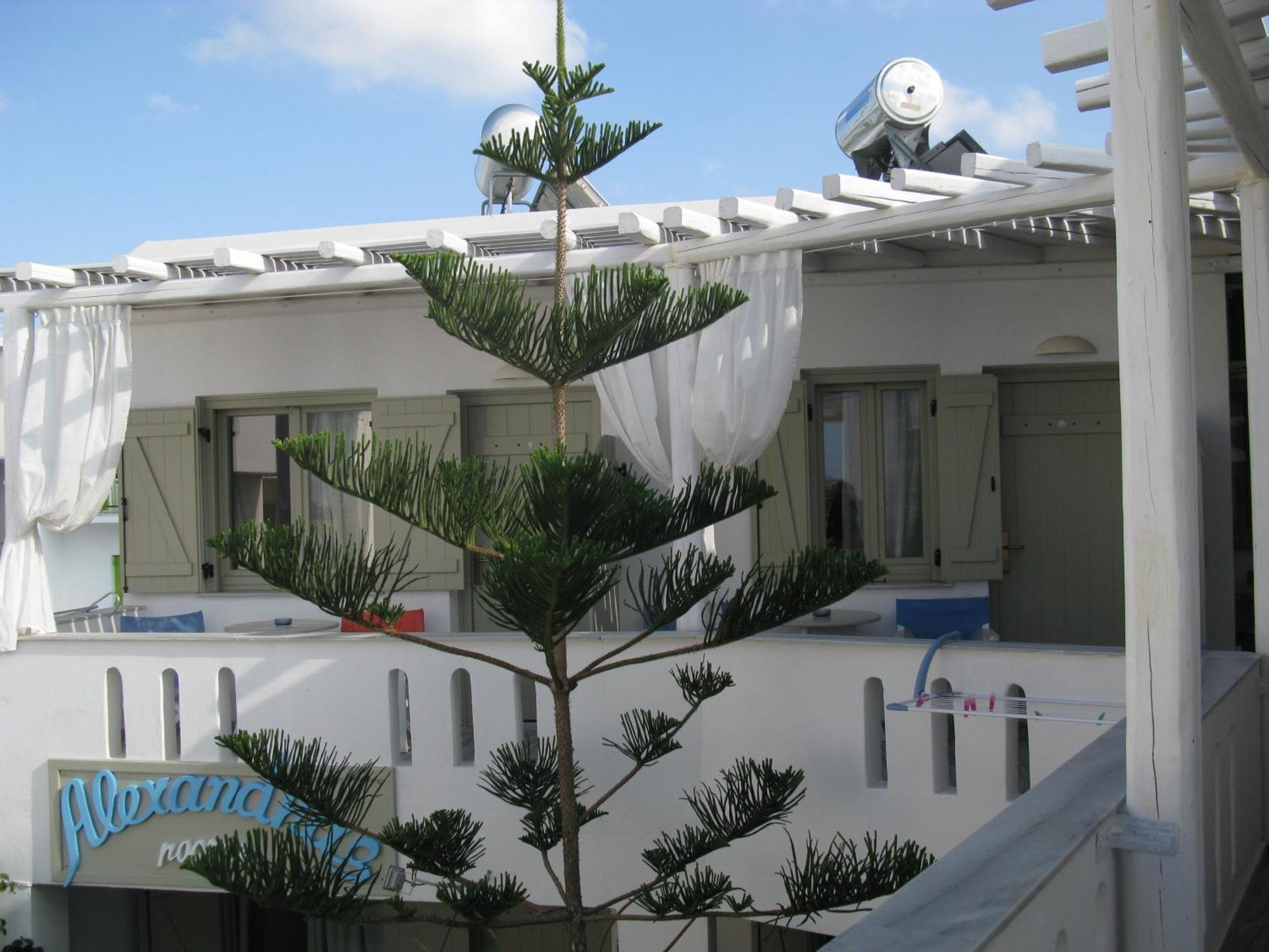 Alexandra'S Rooms Πάρος Δωμάτιο φωτογραφία